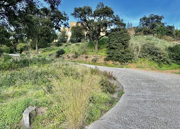 Lägenhet Confortable A Aiguebelle Avec Terrasse Et Parking Prive - Fr-1-816-13 *